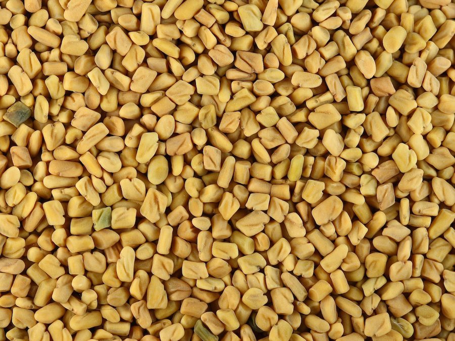 Graines de fenugrec GQ