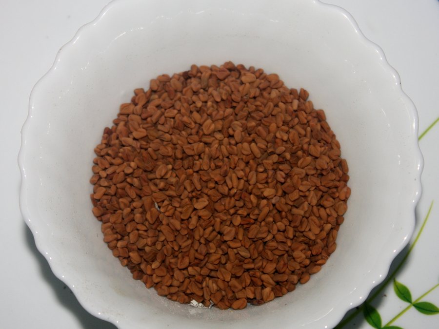 Graines de fenugrec Jumbo