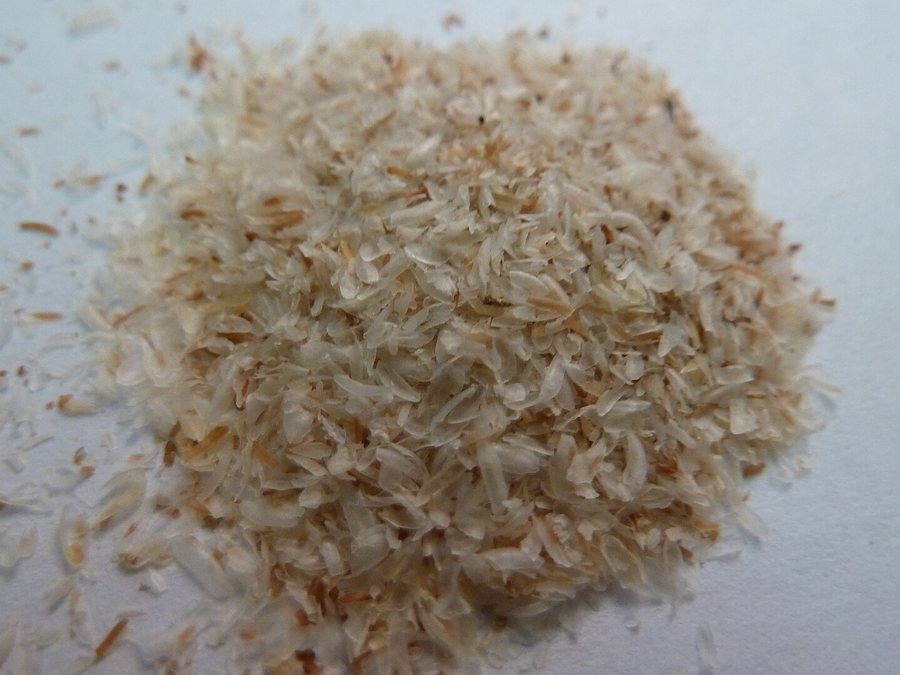 Tégument de psyllium 95%