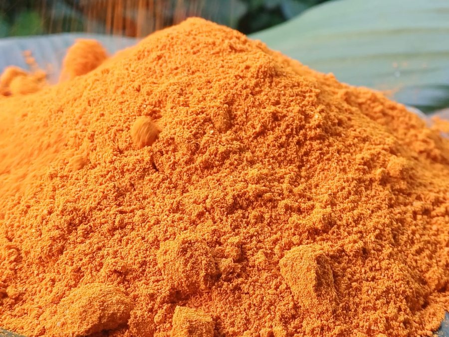 Curcuma en poudre LG