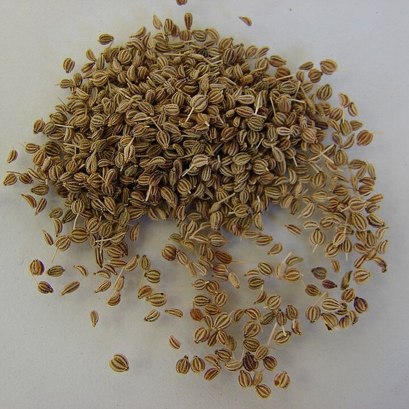 Semillas de ajwain