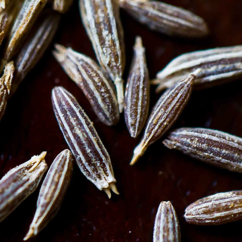 Graines de cumin - Europe Sortex