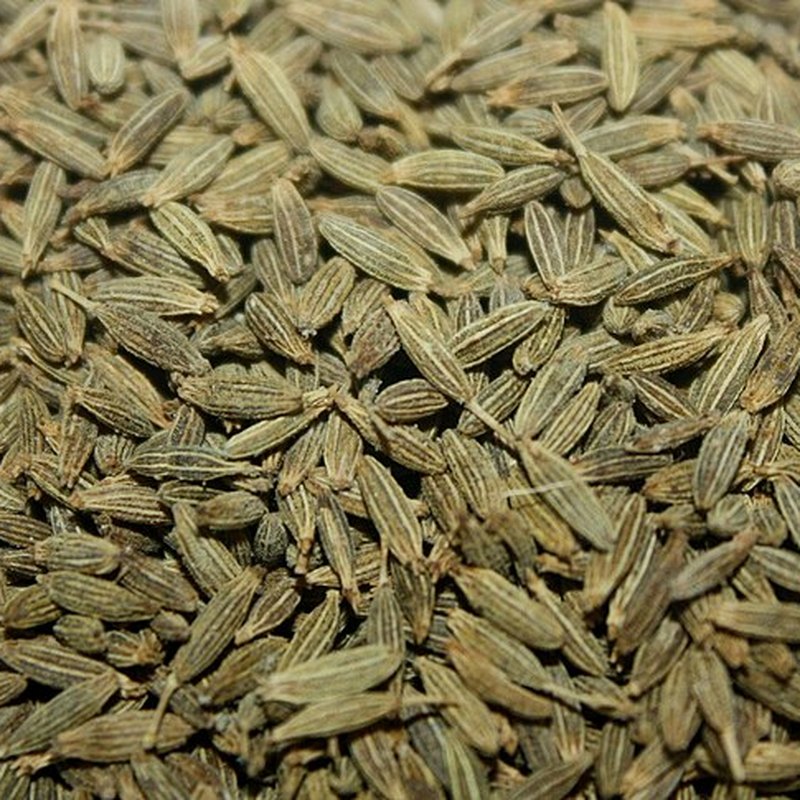 Graines de cumin - GQ