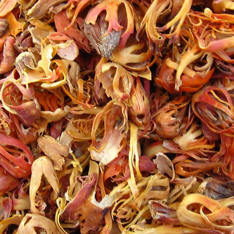 Mace Flower