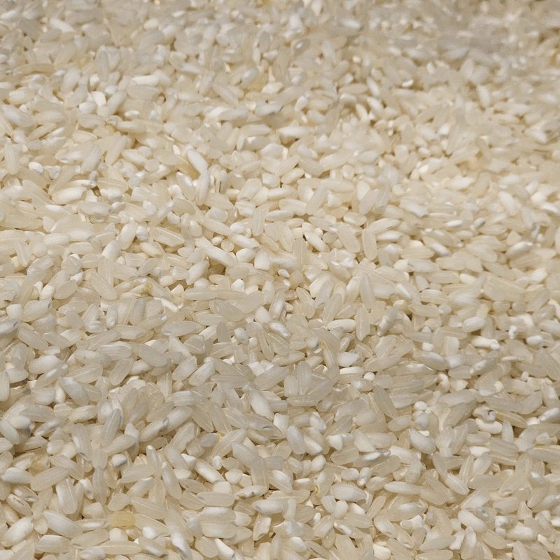 Sona Masoori blanc cru