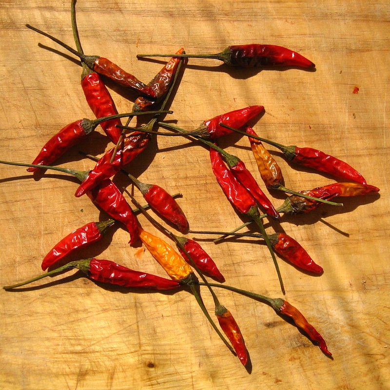 Chile tomate sin tallo