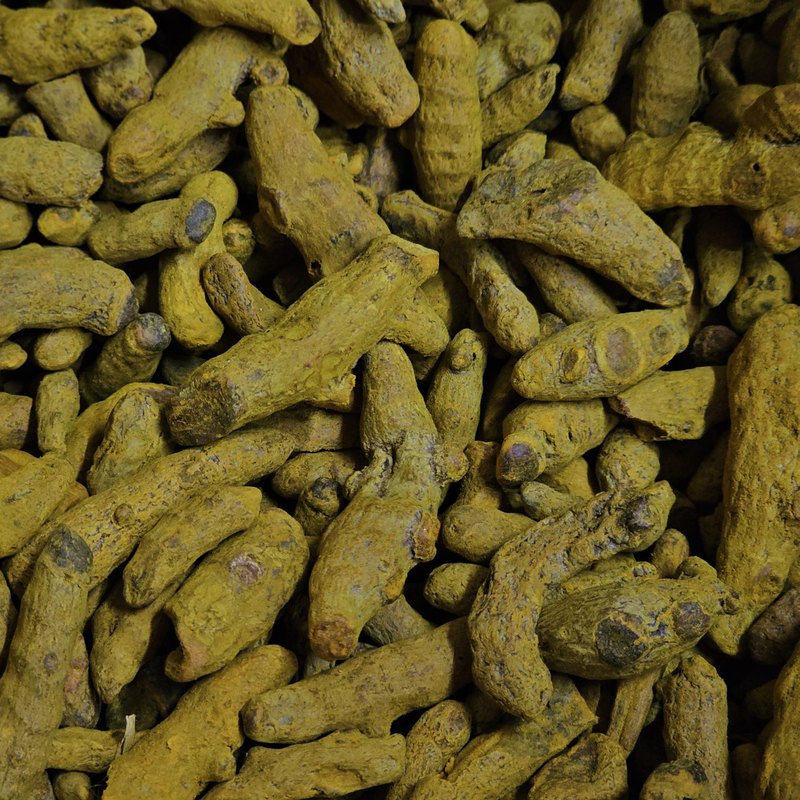 Curcuma en doigts Japan