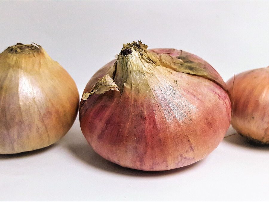 Oignons rouges