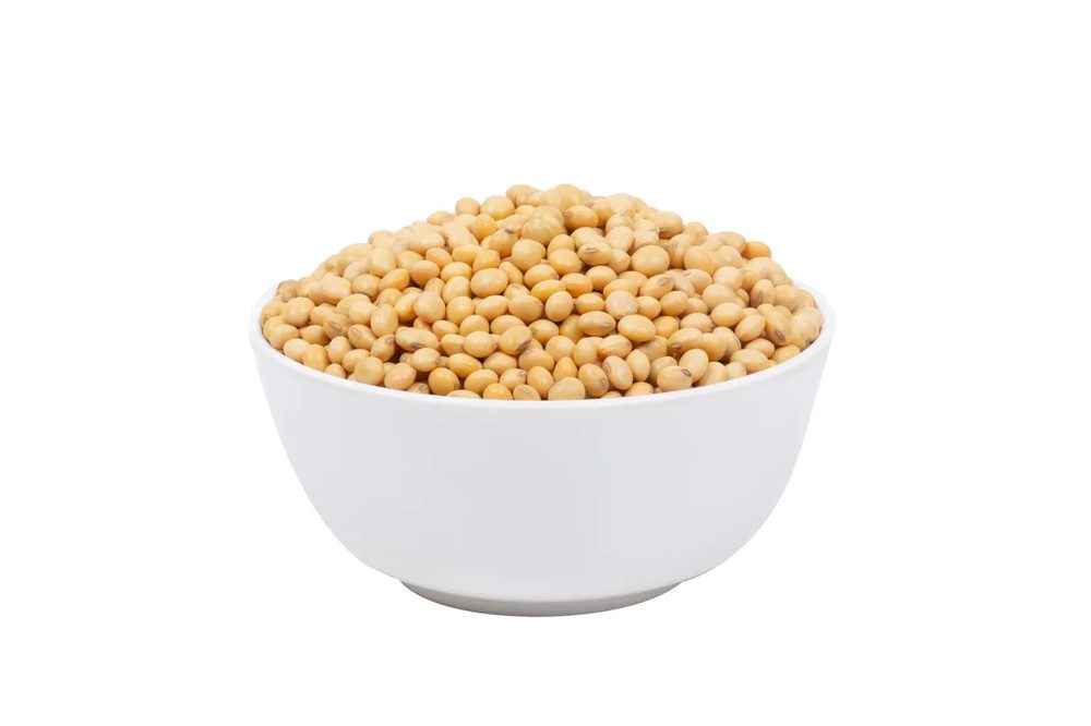 Soya Bean Seeds