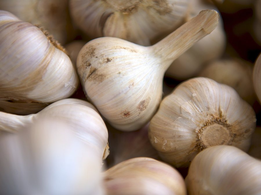 Garlic Chopped
